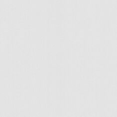 Шпалери вінілові Статус 9082-20 - фото