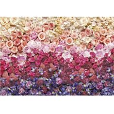 Фотошпалери Komar Ніжний букет 8-965 - фото