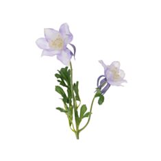 Декоративна гілка Аквілегія Bona Di 709-525 58 см лілова - фото