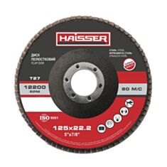 Круг пелюстковий плоский Haisser 5412704 Т27 Р80 125*22,2 мм - фото