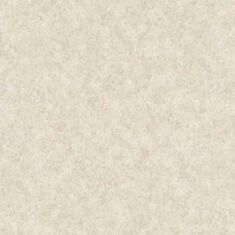 Шпалери вінілові Слов'янські 8638-03 Атлант 2 В118 - фото