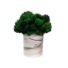 Стакан Cute с мхом серый мрамор - фото