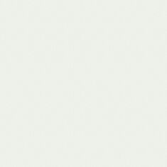 Обои виниловые Sintra Borneo UNI 392713 - фото