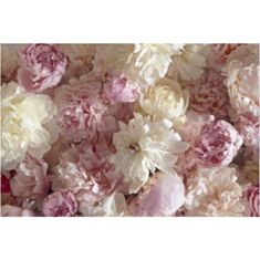 Фотошпалери Prestige №50 - фото