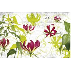 Фотошпалери Komar Gloriosa 8-899 - фото