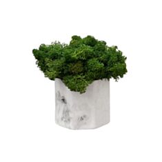 Кашпо мини Cute с мхом серый мрамор - фото