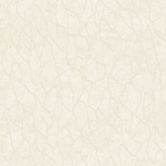 Обои виниловые Ravena Vira 102409-1 - фото