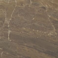 Грес Paradyz Pavi brown 1c 60*60 см - фото