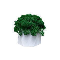 Кашпо кристалл с мхом Cute голубое - фото