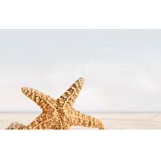 Плитка Golden Tile SUMMER STONE Holiday бежевый декор №3 В41331 25x40 - фото