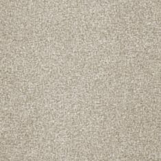 Шпалери вінілові Bravo Simple SP502-05 - фото