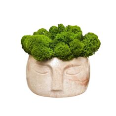 Кашпо Обличчя з мохом Cute коричневий мармур - фото