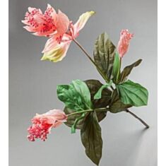 Штучна квітка Медініла 092F 120см - фото