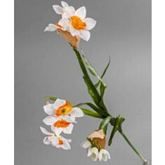 Искусственный цветок Нарцис 1812 T 75см - фото