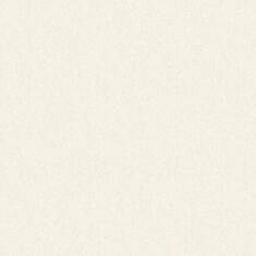 Обои виниловые Sintra Bionic UNI 506516 - фото