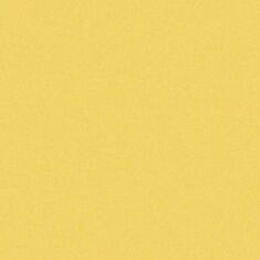 Шпалери паперові Erismann Lotta 7352-03 - фото