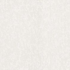 Шпалери вінілові Статус 403ST00 - фото