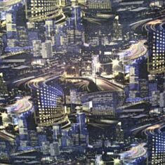 Обои виниловые Славянские В107 Столица 487-03 - фото