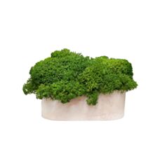 Кашпо овал з мохом Cute коричневий мармур - фото