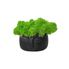 Кашпо Cute Обличчя з мохом чорне - фото