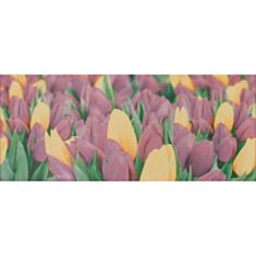 Панно Атем Alana 1 Tulip VC 25*60 фіолетовий - фото