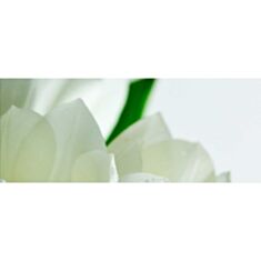 Панно Атем Yalta Tulip Maxi W 2 20*50 білий - фото