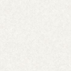 Шпалери вінілові Ravena Vira 102405-1 - фото