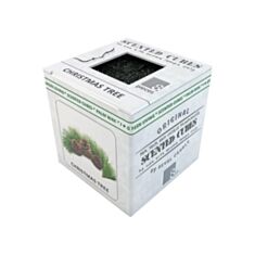 Аромакубики Scented Cubes Ель - фото