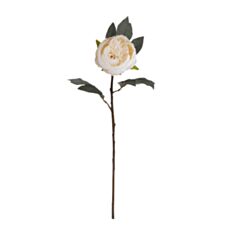 Штучна квітка Elisey Півонія кремова 8950-006  66 см - фото