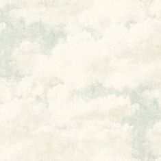 Обои виниловые Rasch Clouds 974713 - фото