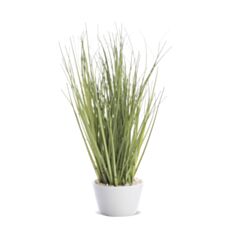 Рослина декоративна Art-Pol 126957 25*14 см - фото