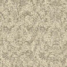 Шпалери вінілові Rasch Maximum 13 936018 - фото