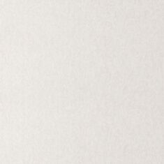 Шпалери вінілові Статус 9033-13 - фото