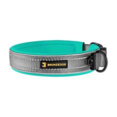Нашийник для собак BronzeDog Sport 52/131311/Т L 43-51 см сіро-бірюзовий - фото
