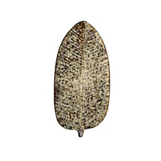 Тарілка Olens Паноптікон 101-0478 32*15,2 см - фото