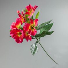 Штучна квітка Альстромерія 097F/pink 65 см - фото