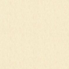 Обои виниловые Статус 9056-14 - фото