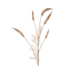 Декоративная ветка Астильбы Bona Di 709-579 82 см бежевая - фото