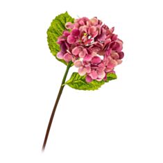 Штучна квітка Elisey Гортензія Papillon 8100-039 фуксія - фото