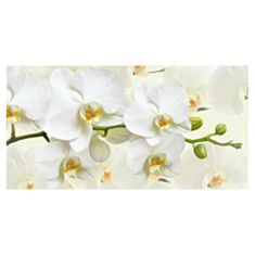 Фотошпалери Prestige №49 - фото