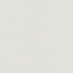 Шпалери вінілові Статус 9082-21 - фото