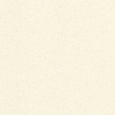 Шпалери вінілові Статус 917-27 - фото