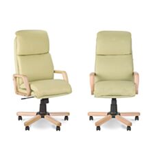 Крісло для керівників Nadir extra - фото