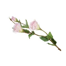 Декоративна гілка Еустома Bona Di 709-472 64 см ніжно рожевий - фото