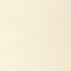 Шпалери вінілові Статус 9033-12 - фото