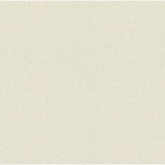 Шпалери вінілові Rasch Maximum 13 936605 бежевий - фото