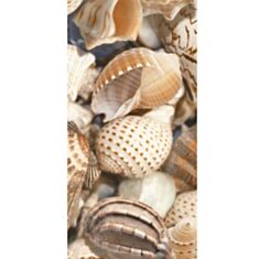 Плитка Golden Tile Sea Breeze Sells Декор №2 Е11421 30*60 - фото