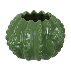 Ваза кактус Eterna WW 2707-10 16,5*16*10 см зелена - фото