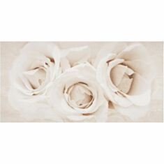 Декор Opoczno Camelia Inserto Flower 29,7*60 - фото