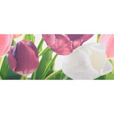 Панно Атем Yalta Tulip PN 2 20*50 рожевий - фото